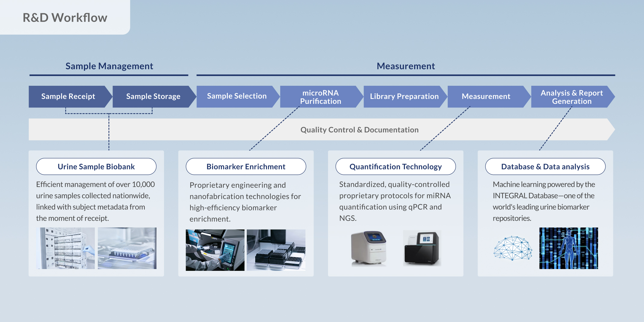 研究開発プロセス